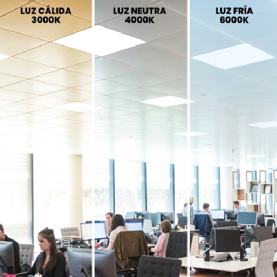 550X550 PANELES LED WEB